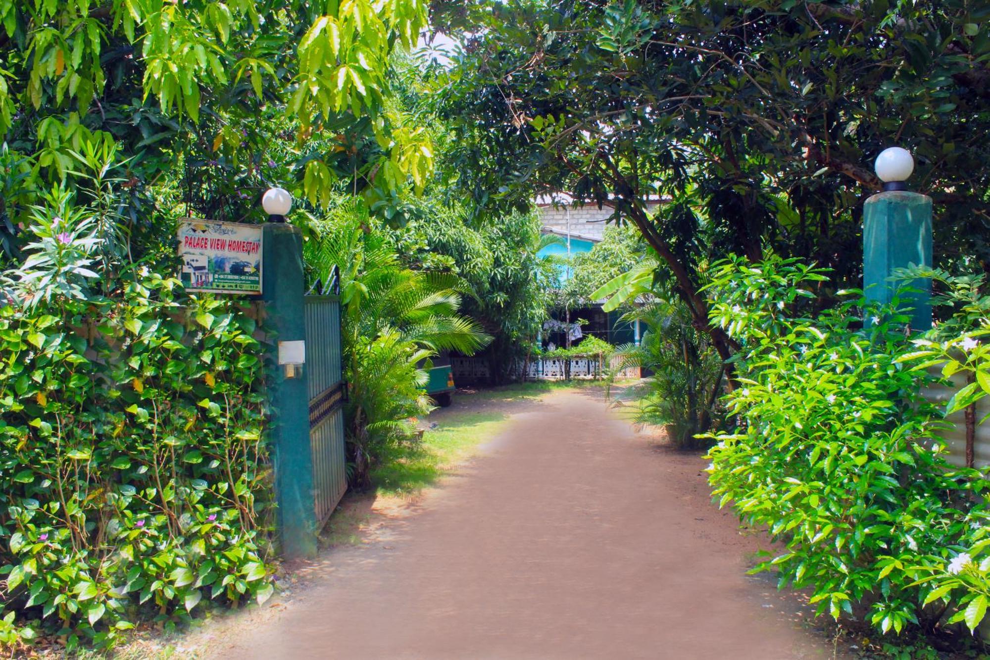 Sigiriya Palace View Kültér fotó
